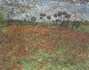 Vincent Van Gogh Field with Poppies (nn04) oil painting reproduction